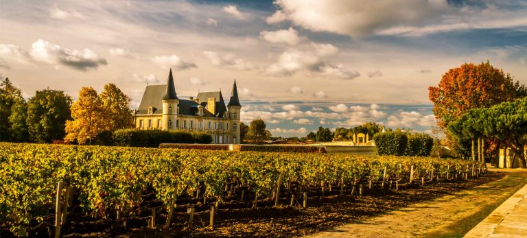 <strong>Le Vignoble de Bordeaux</strong>