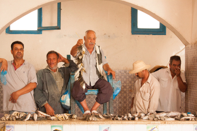 Vivre la criée aux poissons