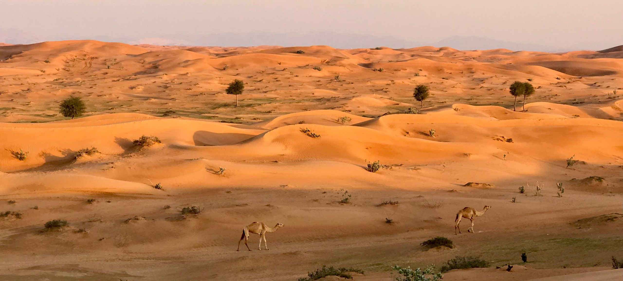 Séminaire Dubaï-Mai 2022