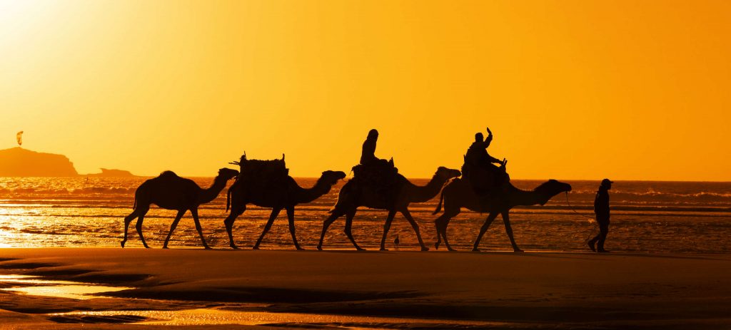 Différents conseils pour réussir un voyage incentive en Afrique du Nord