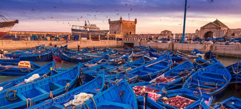 Les charmes du petit port d'Essaouira