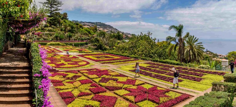 <strong>Funchal, la beauté de son jardin botanique</strong>