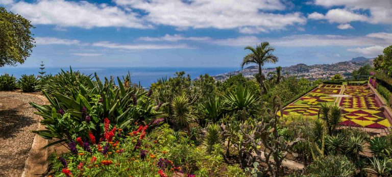 <strong>Le Jardin Botanique de Madère, à Funchal</strong>