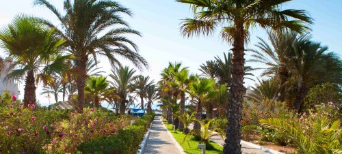 Team building à Djerba