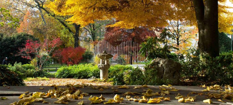 <strong>L'automne aux Jardins Japonais</strong>