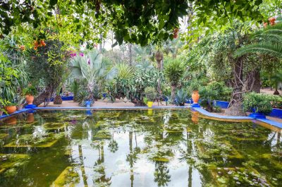Visite du Jardin Majorelle