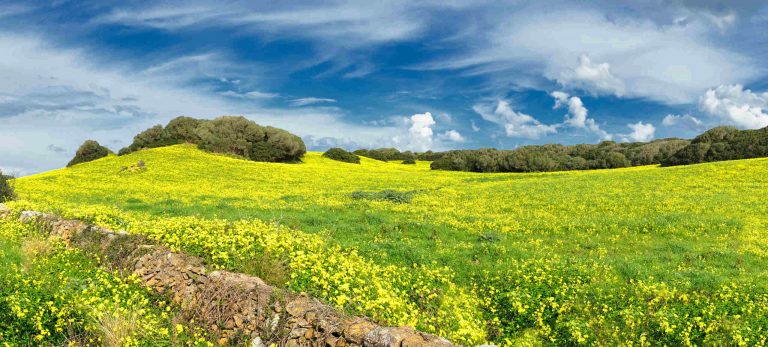 <strong>Une destination nature préservée</strong>