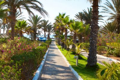 nature-djerba-travel-experience