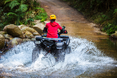 Excursion en quad ou buggy