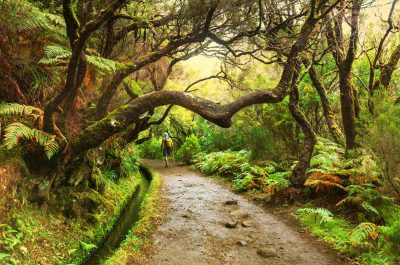 Randonnée de la Levada des 25 Fontaines