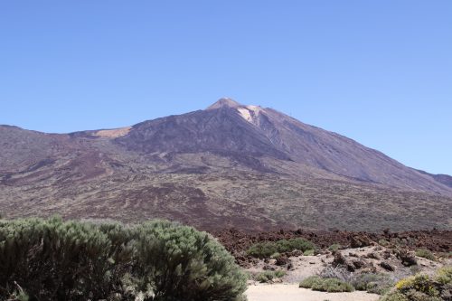 Voyage d'entreprise à Tenerife