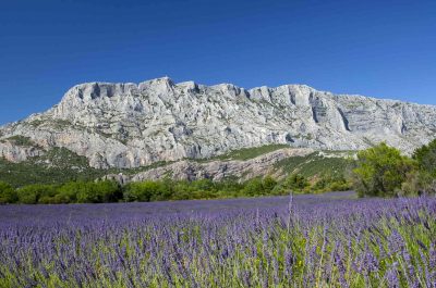 Randonnée en montagne Sainte-Victoire