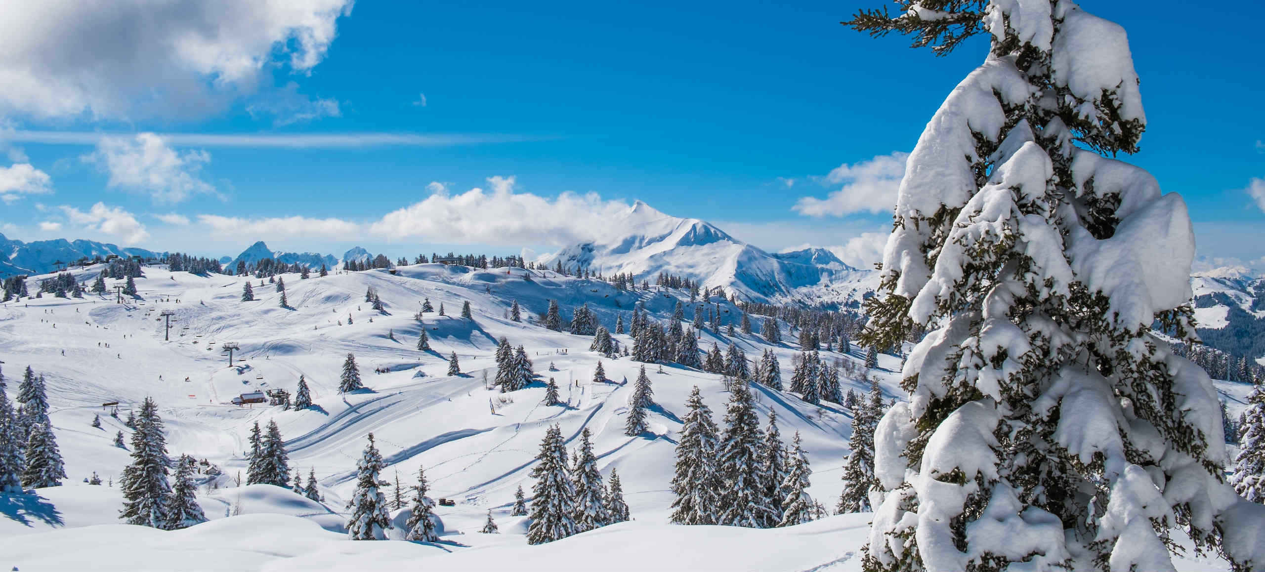 Les incontournables de votre séminaire à la montagne