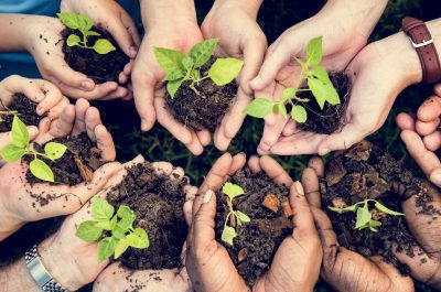 Séminaire Ecotourisme et Environnement