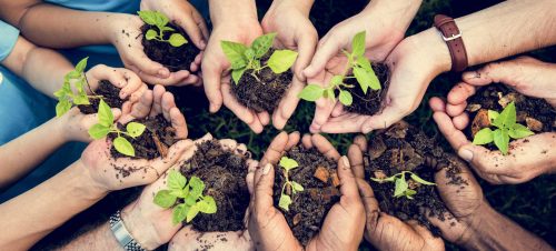 Séminaire Ecotourisme et Environnement