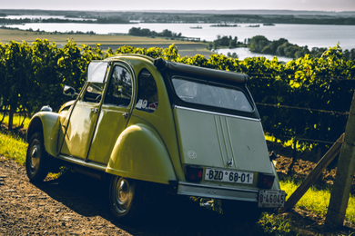 Beaujolais Rallye 2CV vignes