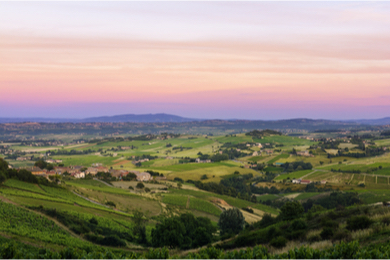 Beaujolais