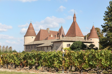 Beaujolais Domaine château