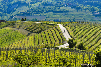 L'étape du jour en E-VTT dans les vignes