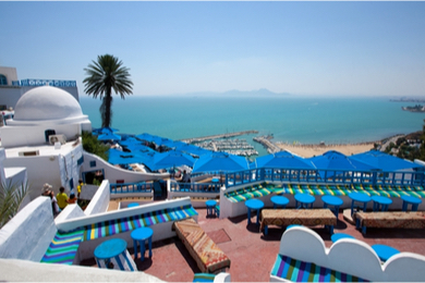 Carthage & Sidi Bou Said