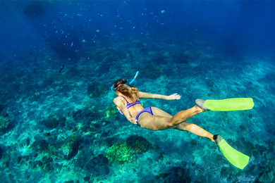 Croisière privatisée avec snorkeling