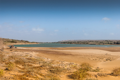 Excursion au parc national de Souss-Massa