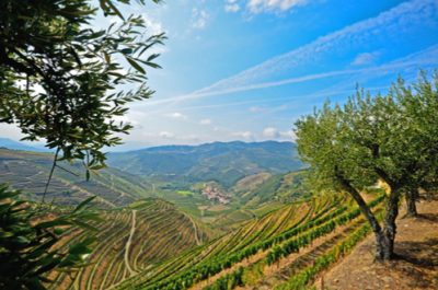 Excursion dans la vallée du Douro