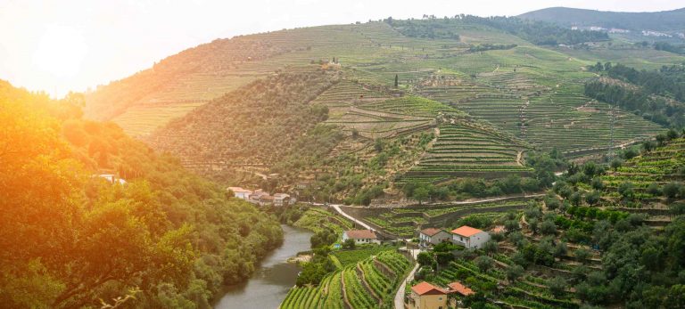 <strong>La vallée du Douro</strong>