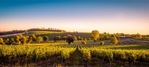 Les incontournables de votre séminaire en Beaujolais 